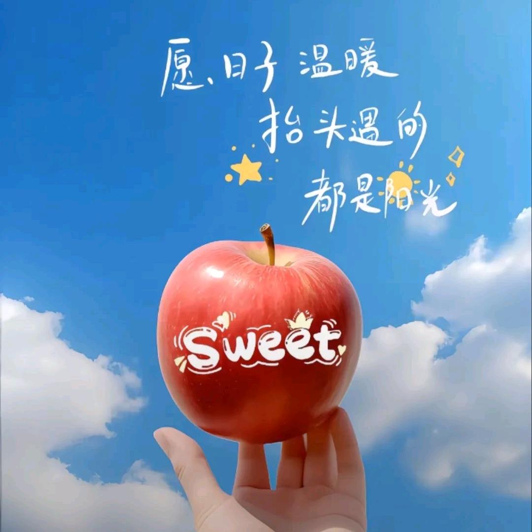 毛豆豆
