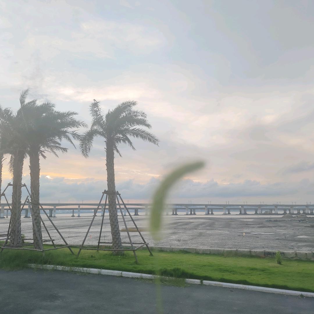 野藤日记