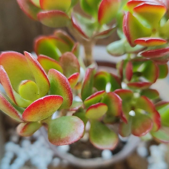 记忆。。。。