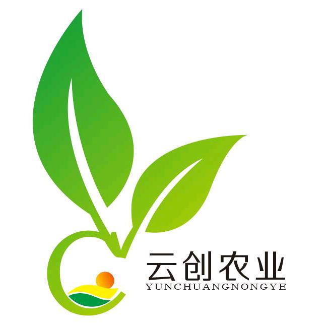 云创农业~云龙与阳光🍇