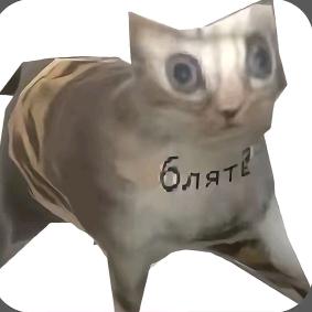 咪🌈
