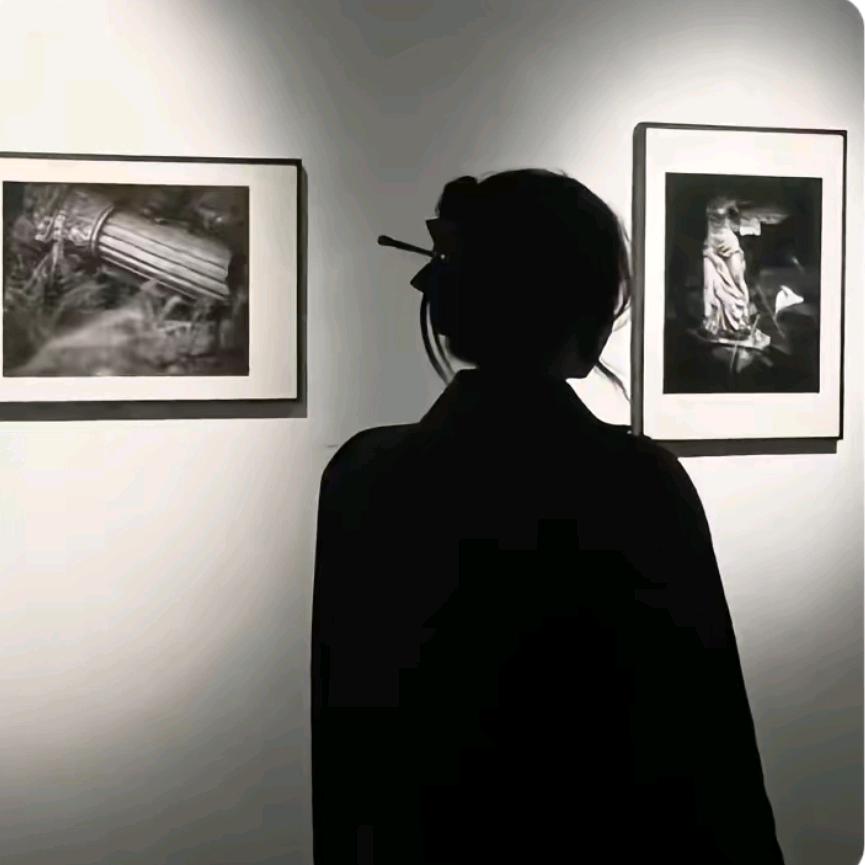 泛落得黄树叶🍂