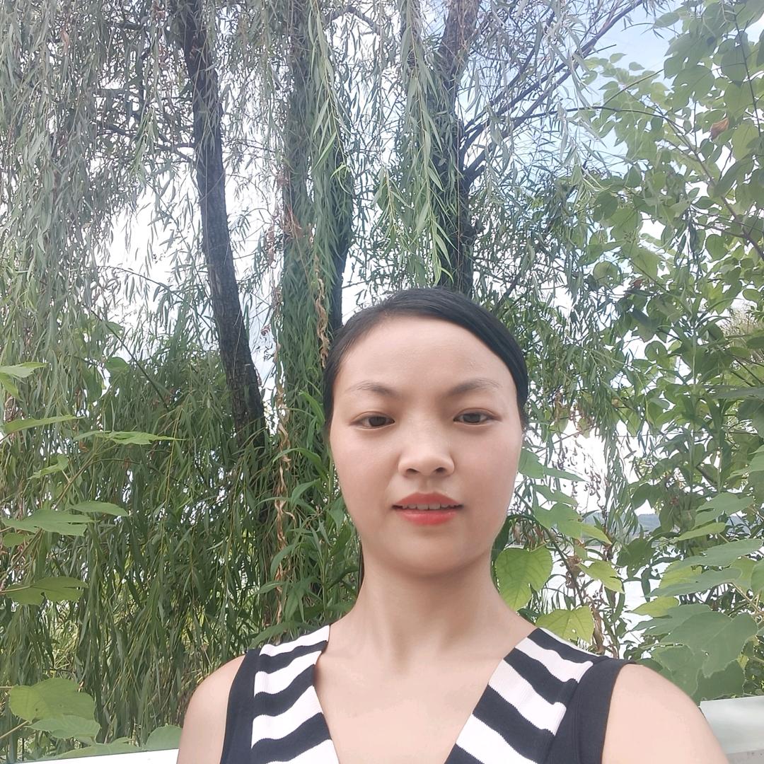 燕子   首播   下午5.15分