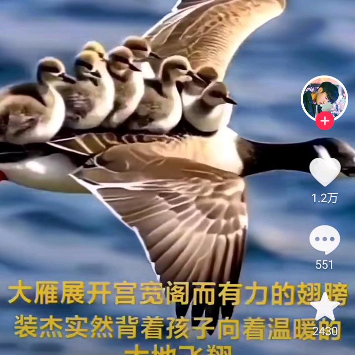 快乐的人生