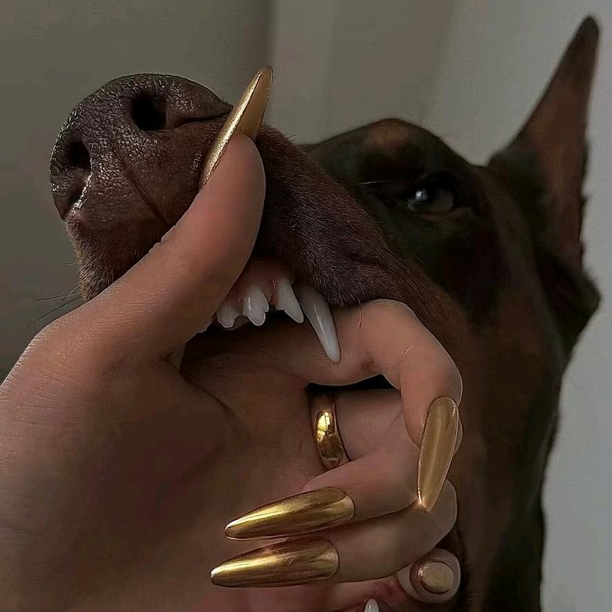 💋   十点半睡觉