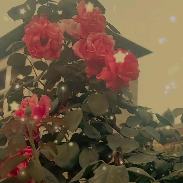 暧暧.