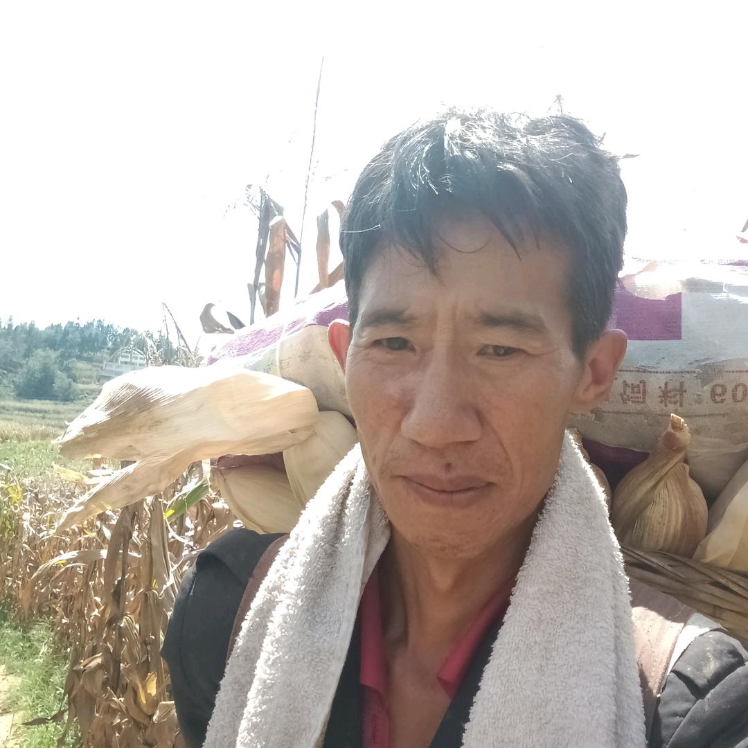 农村善养殖💐🎄（陈）