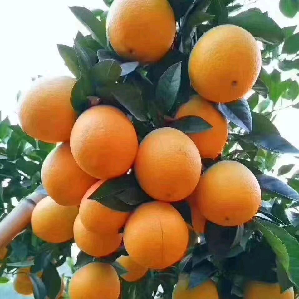 平安是福江西赣州的