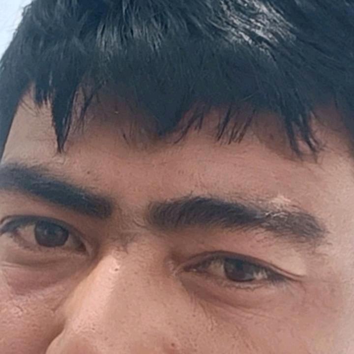 🕊从头开始🕊