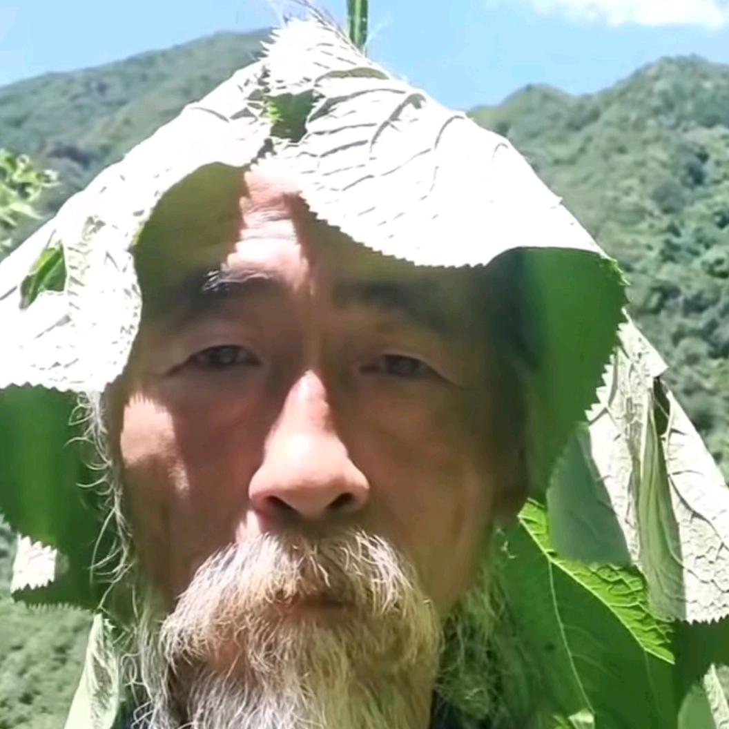 陈不沉
