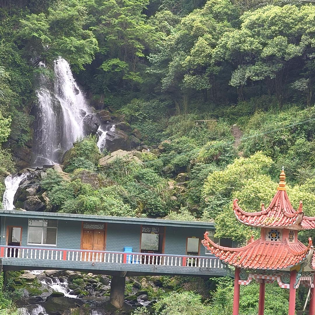 随❤️所欲