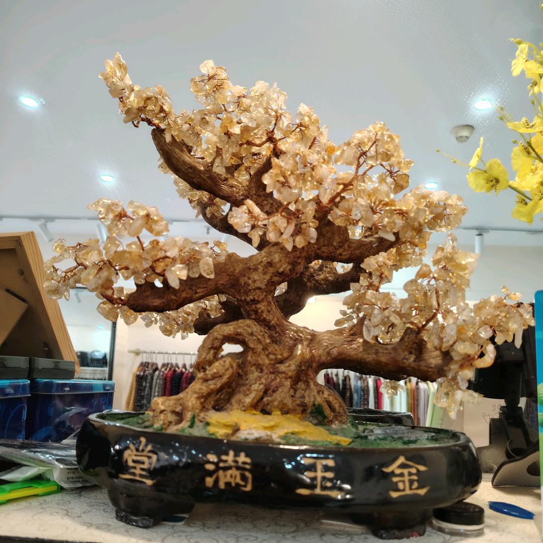 贵姐百货（1）
