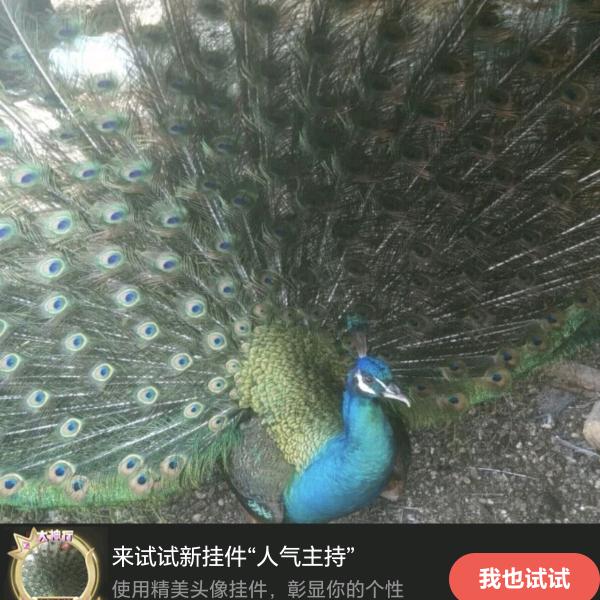 北雁🌹🌹🤪