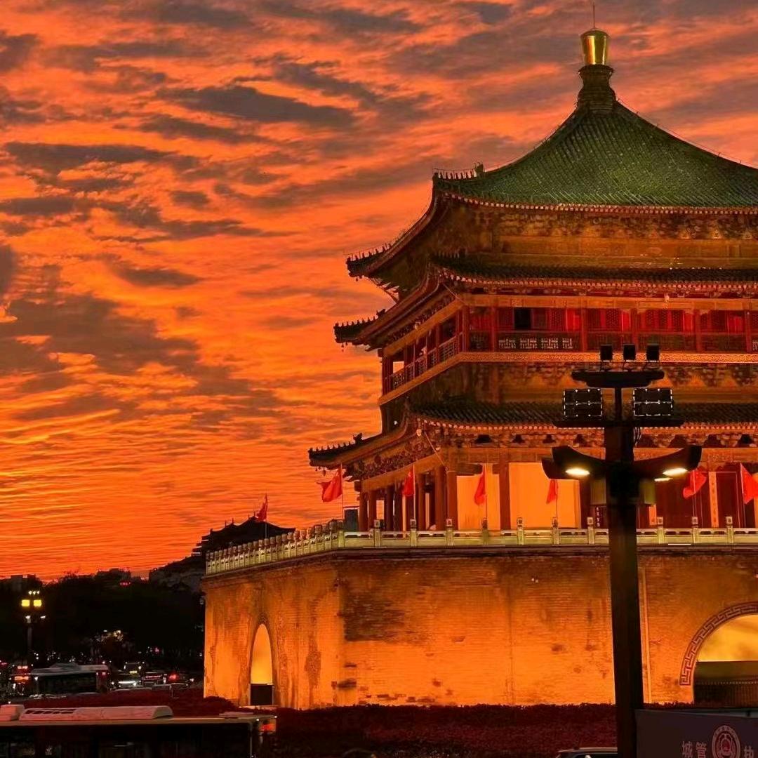 丹丹。