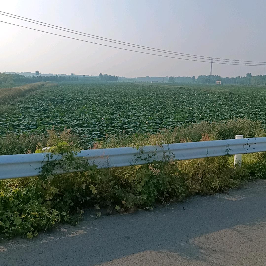 习惯有你