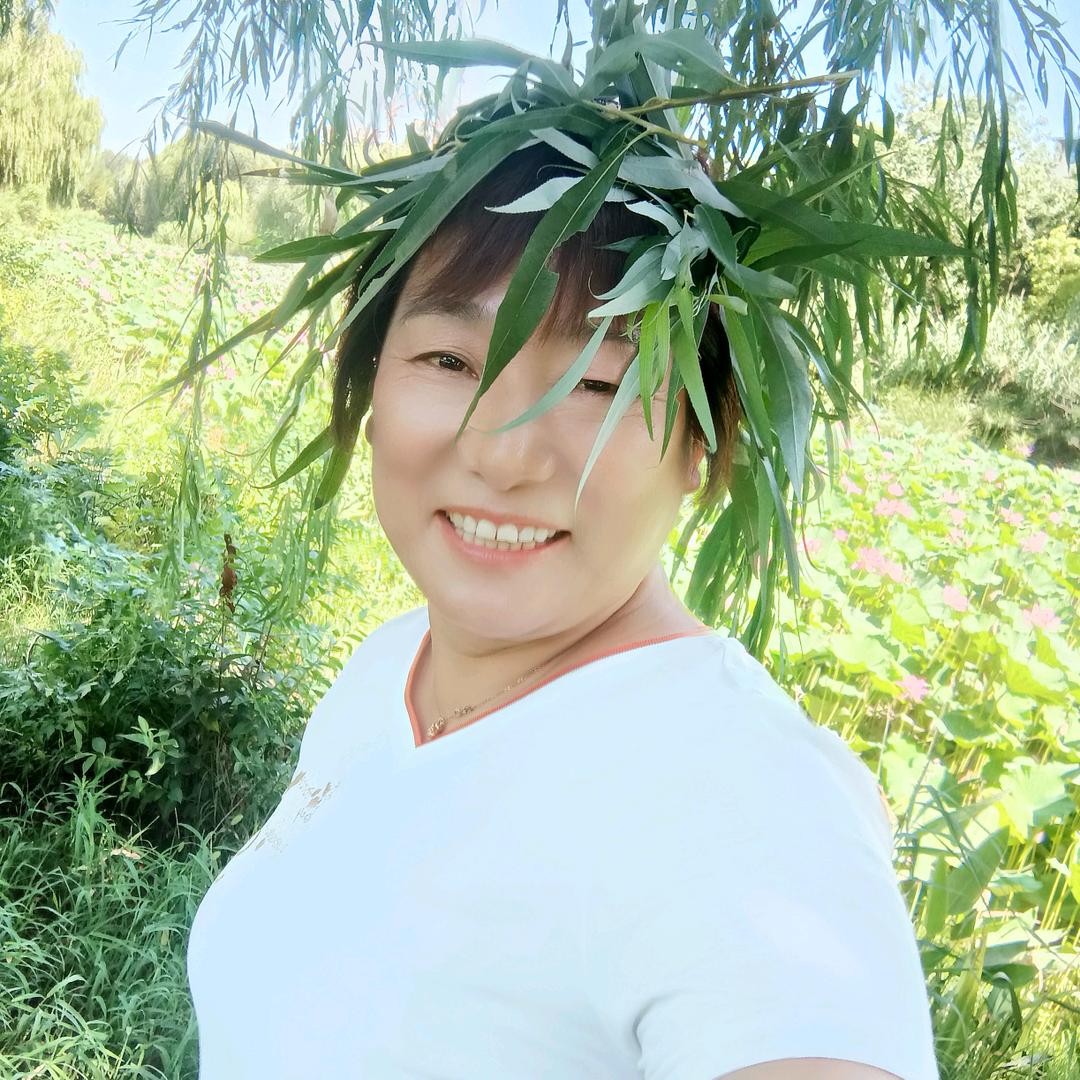 忘忧草（13：20）开播