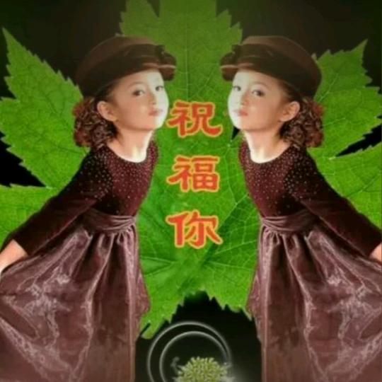 赵赵
