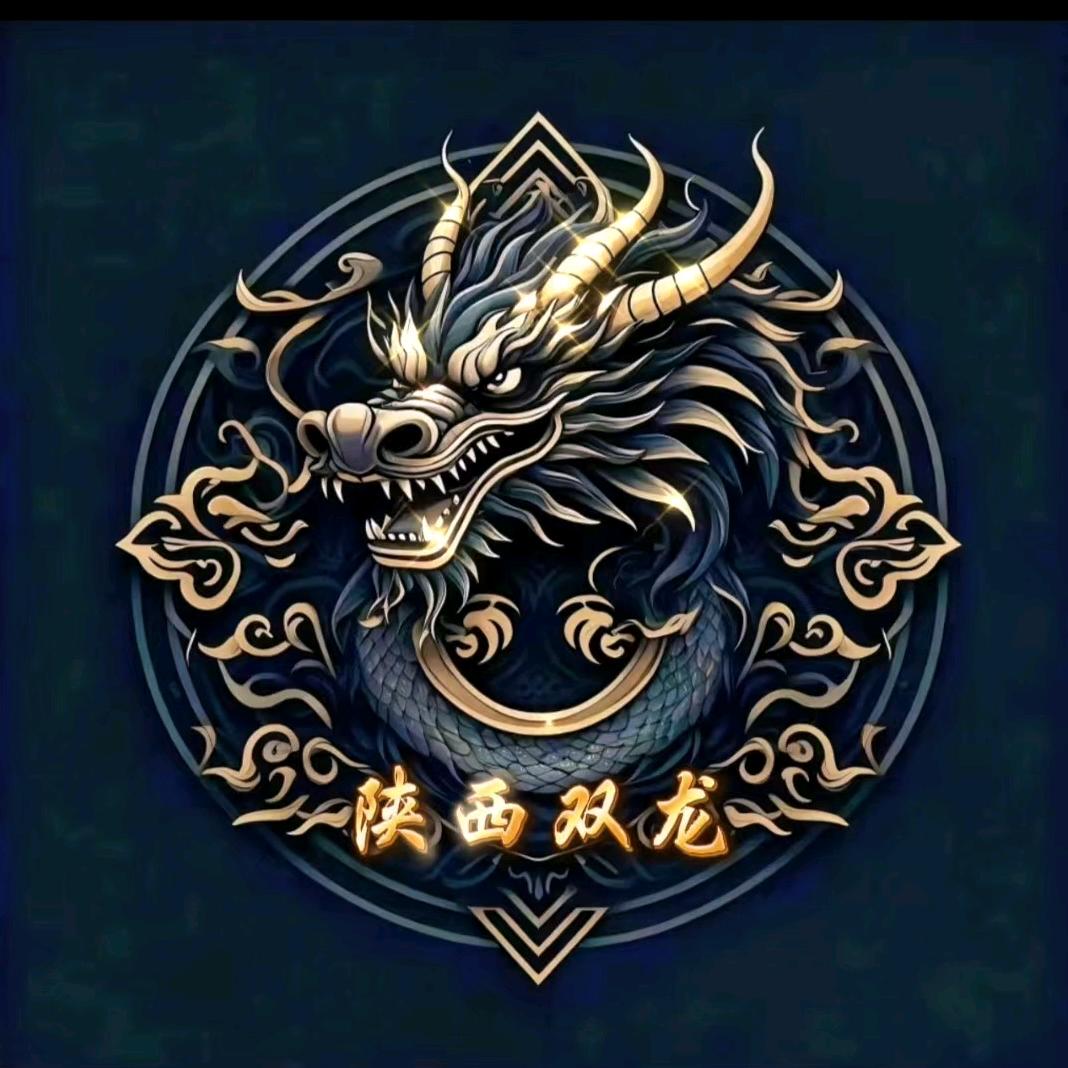 双龙