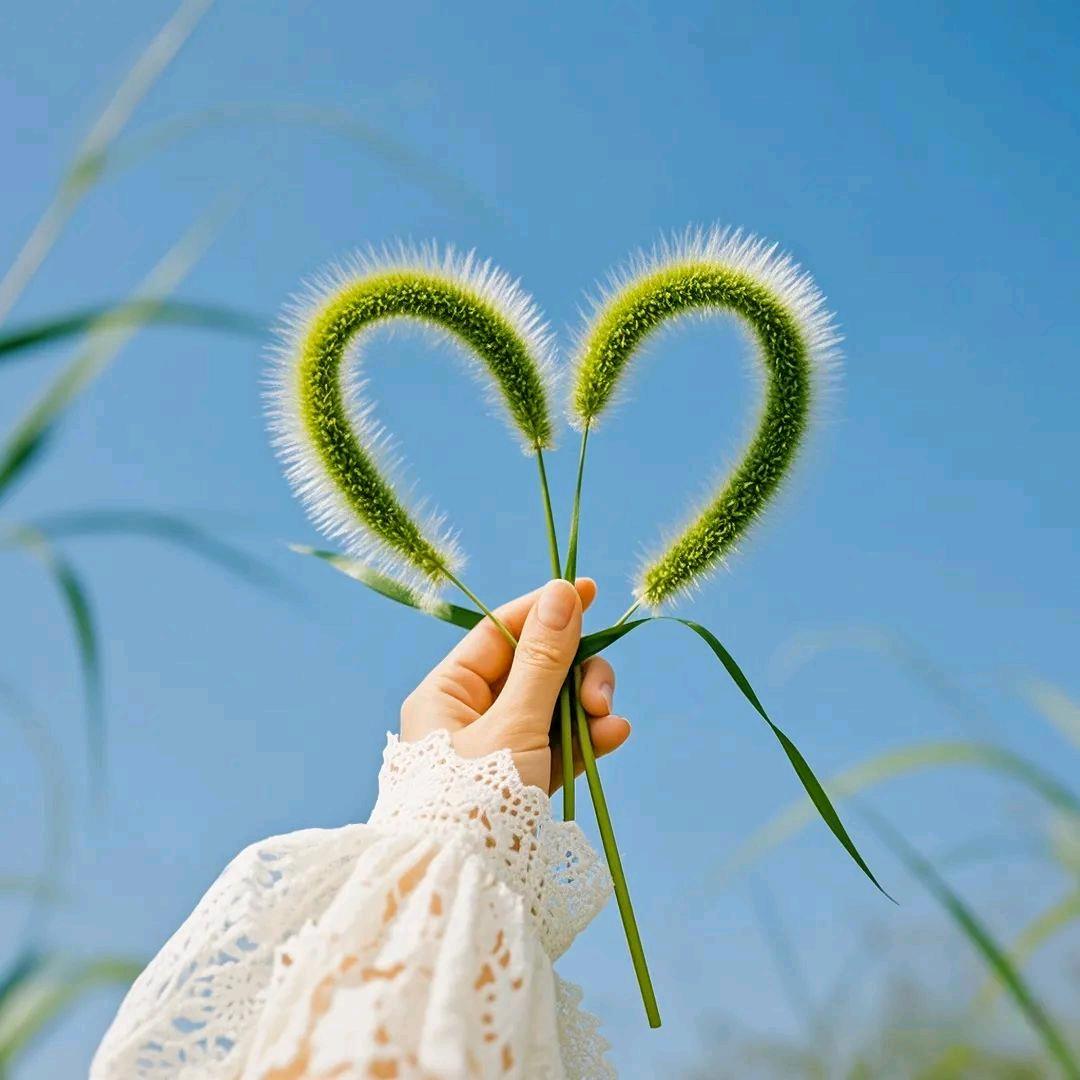 星月（生活小常识）