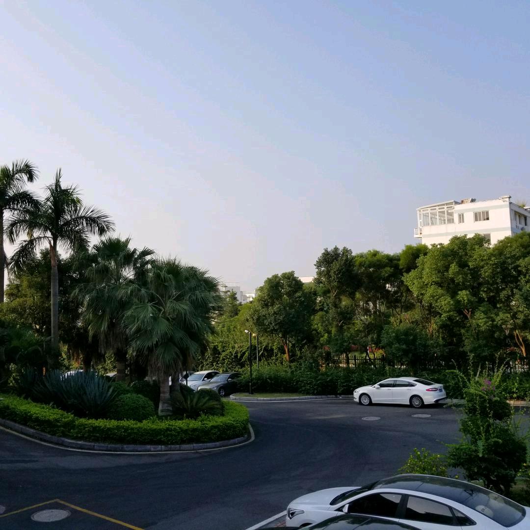 水蜜桃🍑惠