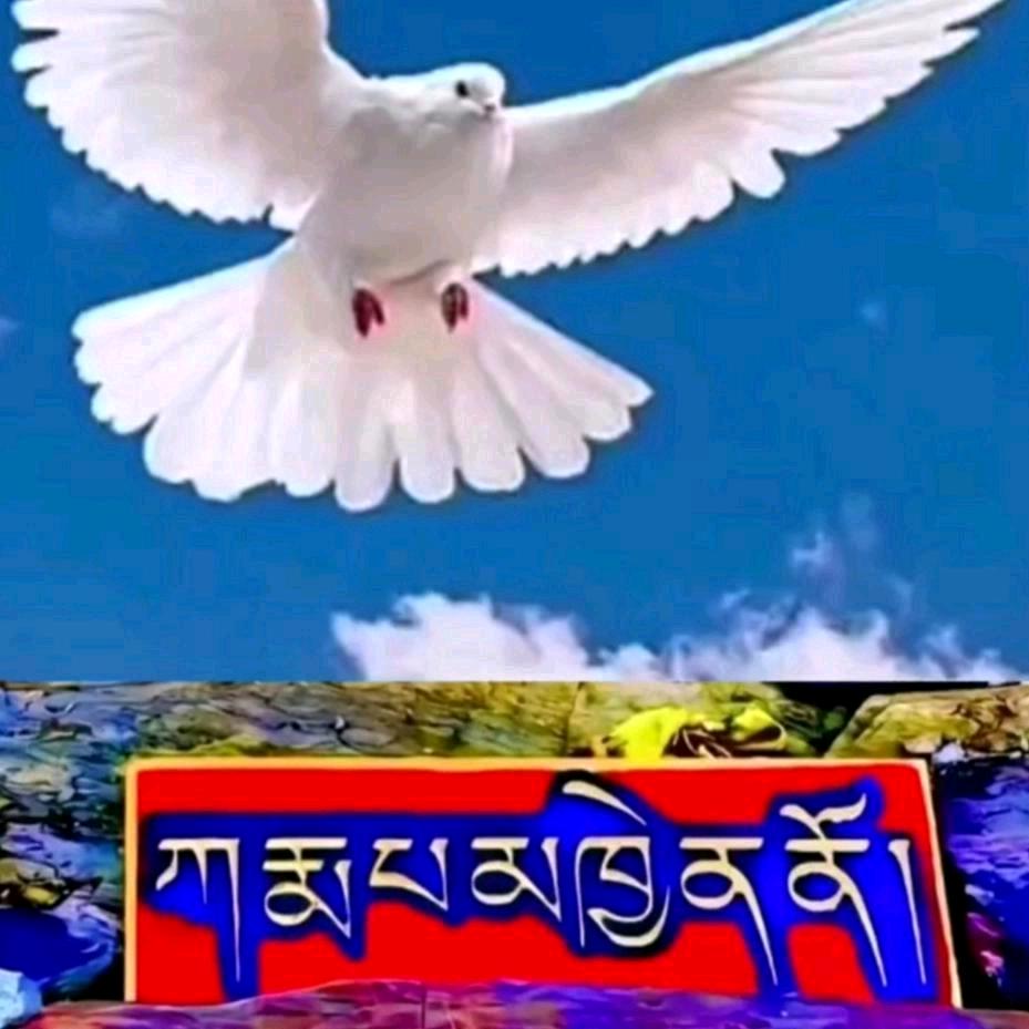 ལས་❤️དབང་🙏