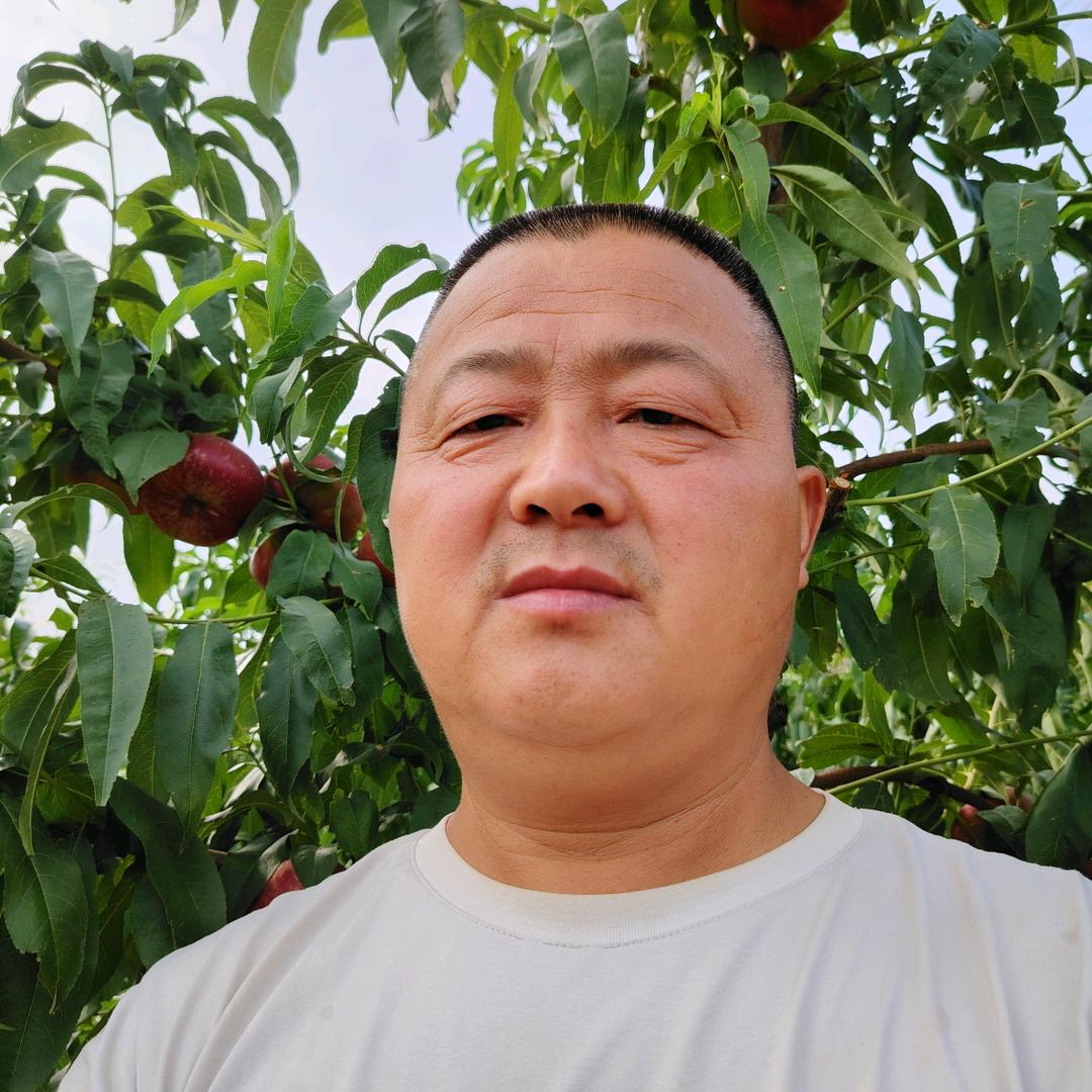 养蜂人侯伟峰