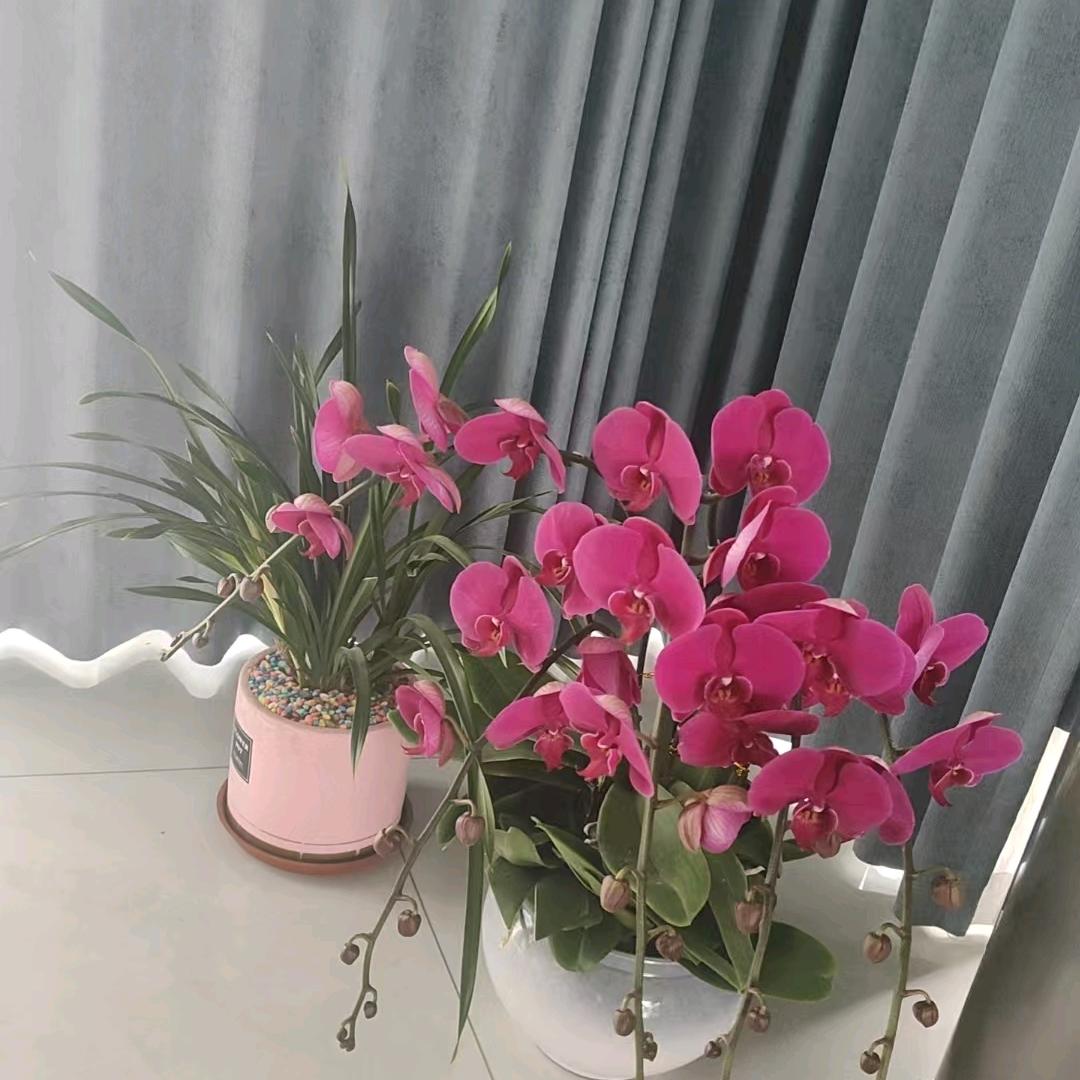 晴天雨