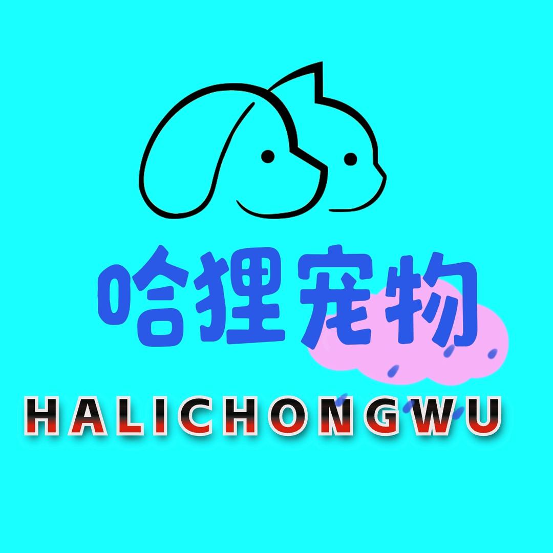 上海哈狸宠物美容培训