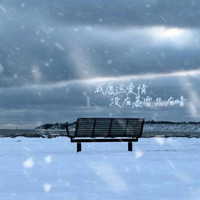 力哥落花人独立