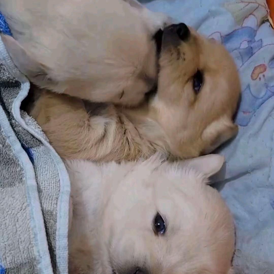 更年期喜欢上了国漫