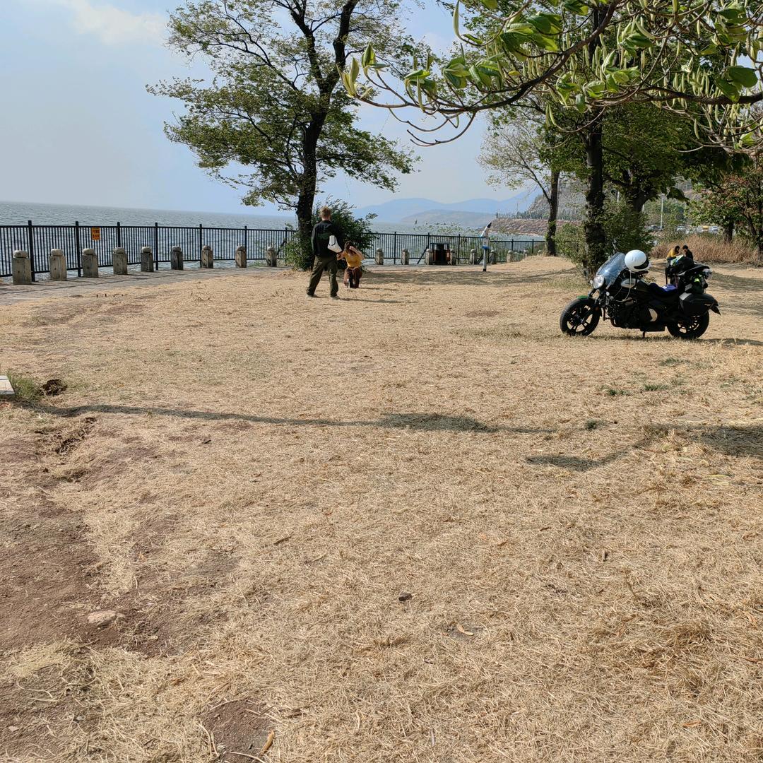 财来运气来，通通存起来