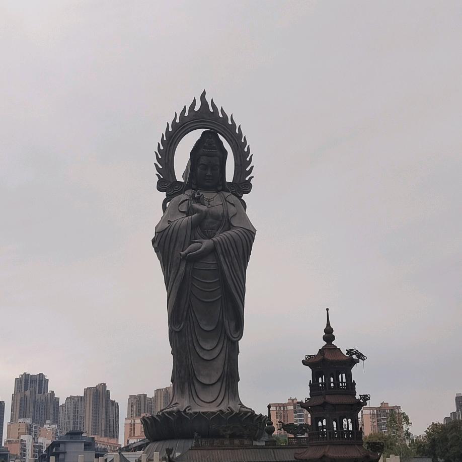 冷酷王子
