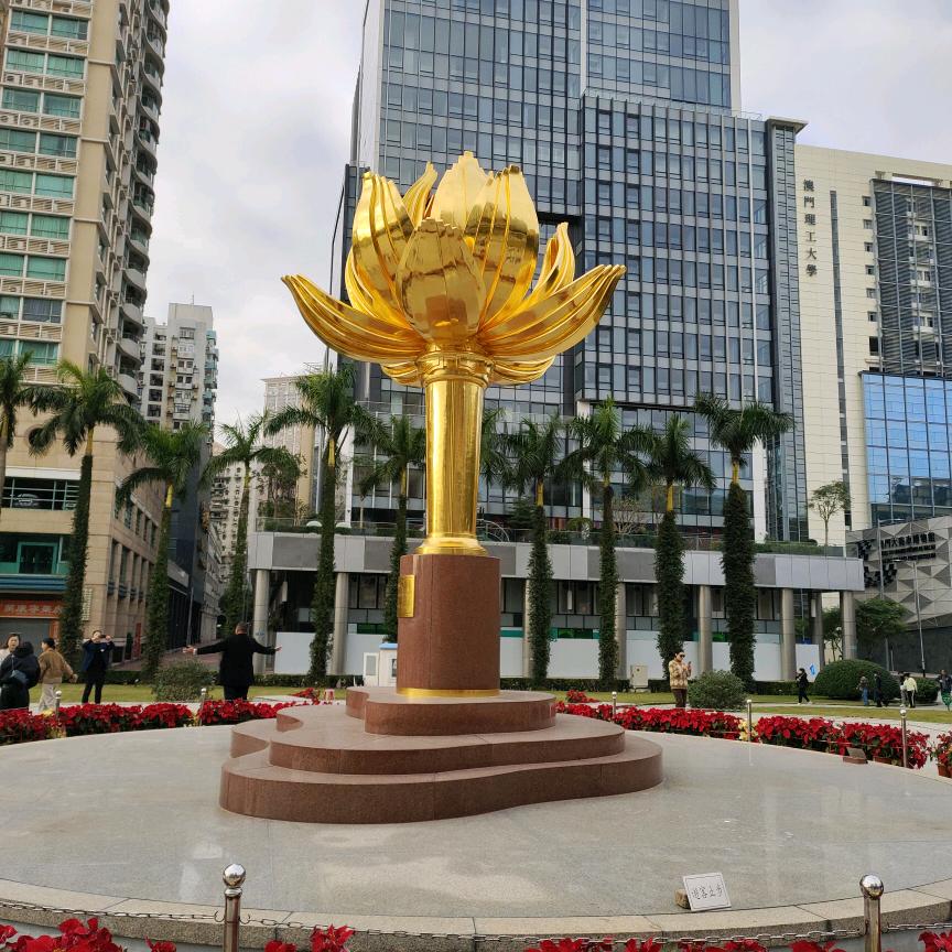 毛毛