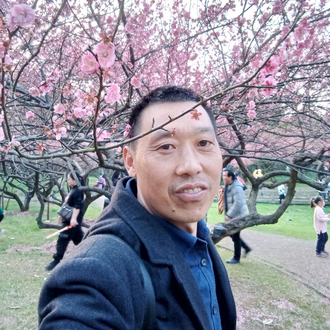 梦幻星辰
