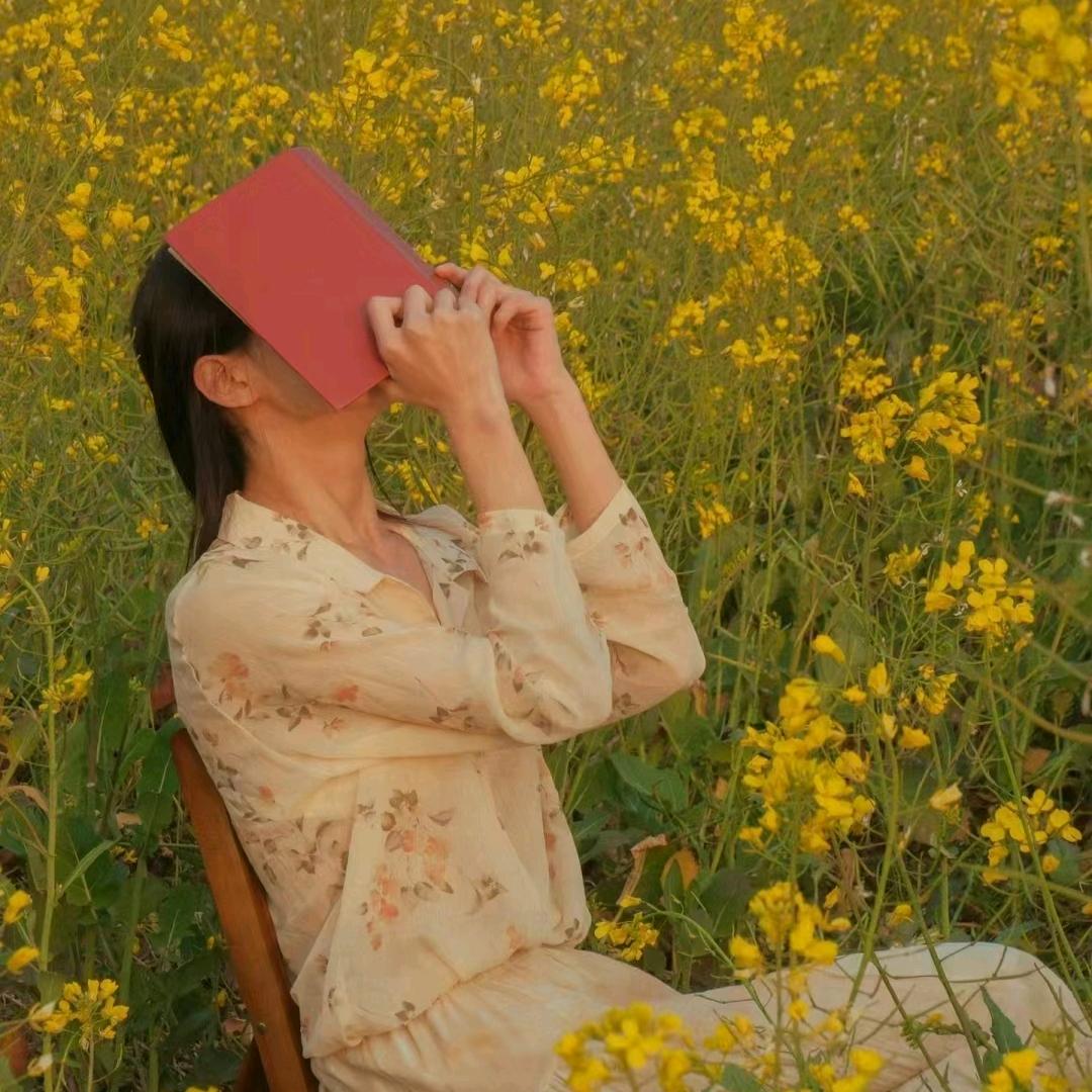 湖南进口轴承—夏天