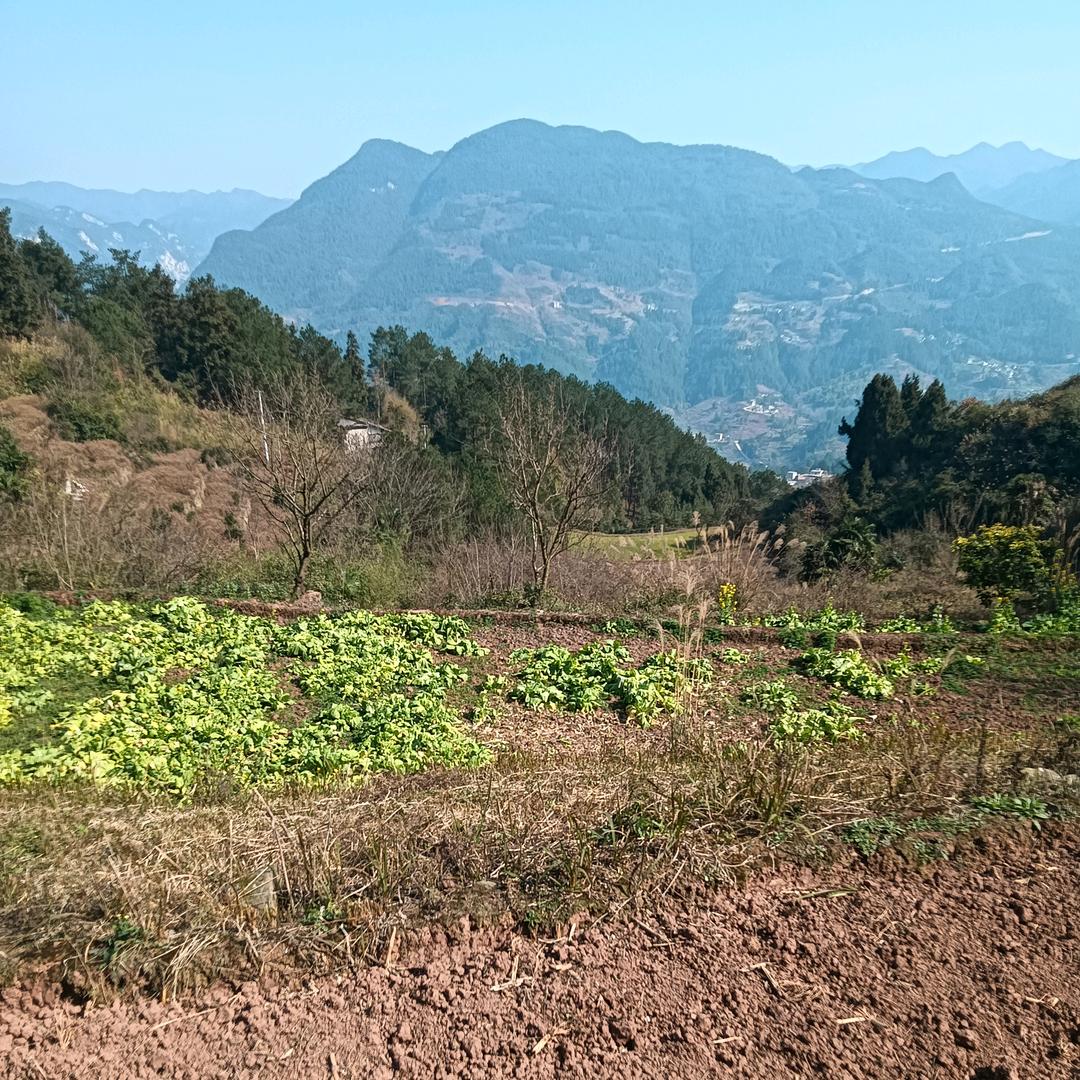 🚬ಇ᭄࿆ྃ心ಡωಡ