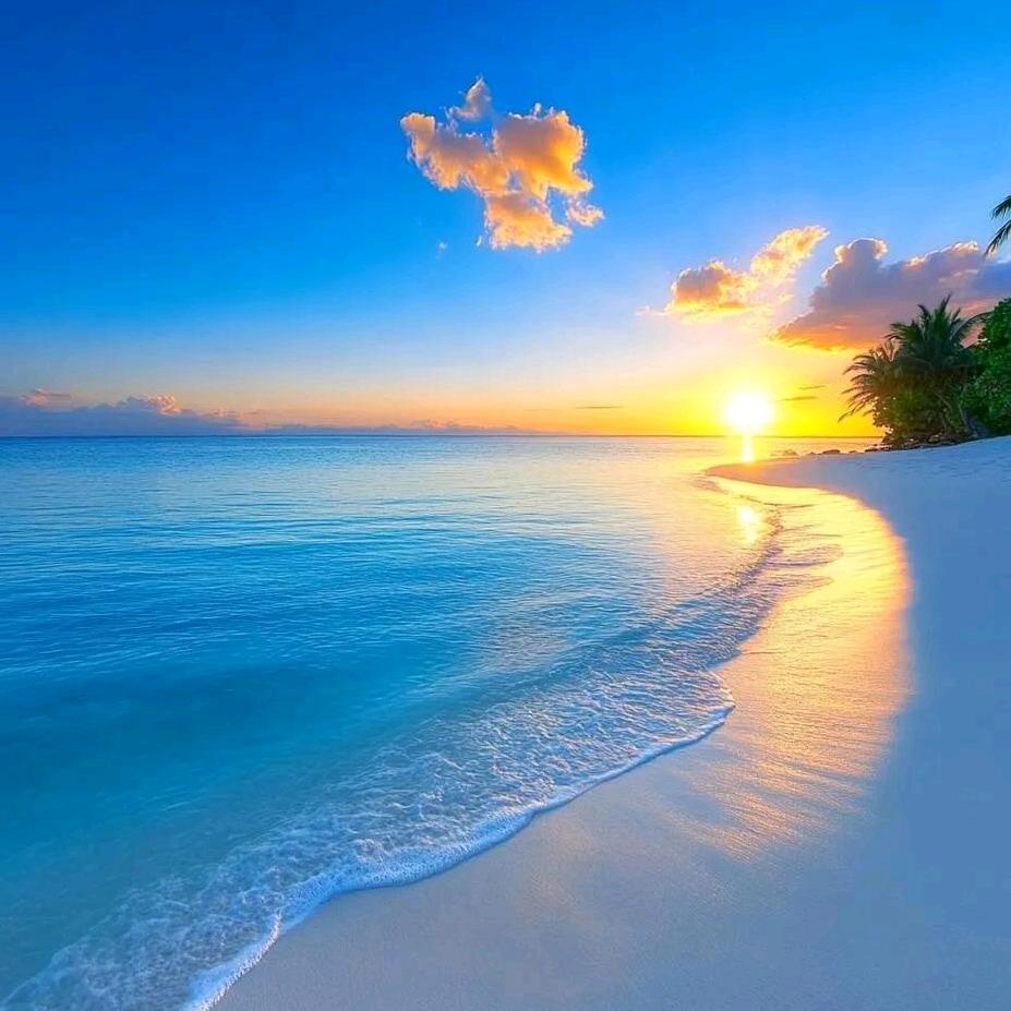 王家军（大掌柜）