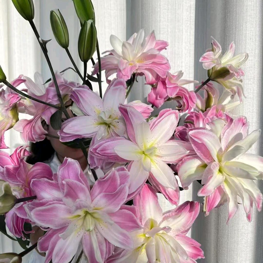 花瓣