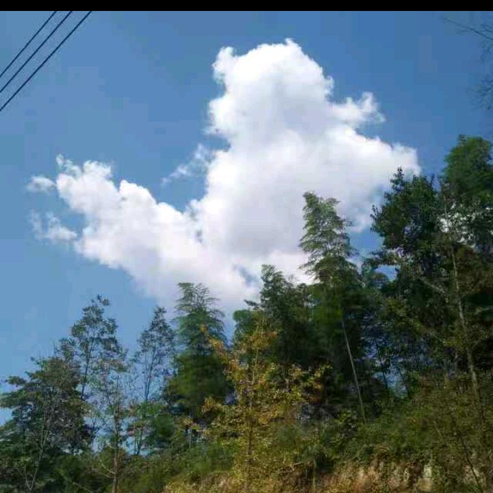 知足者常乐！！