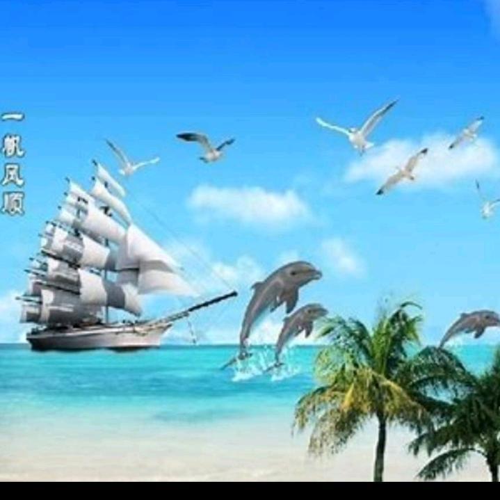 帆帆丰顺