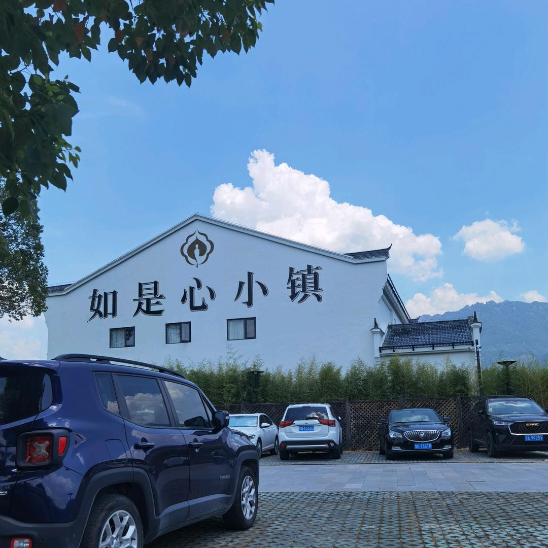 道地黄精