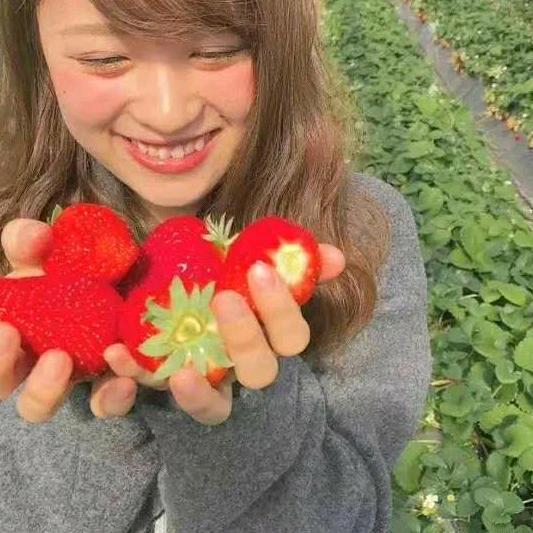 上栗县上栗镇富林生态种养专业合作社