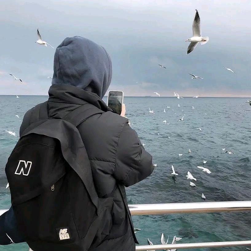 难以抗拒的容颜.