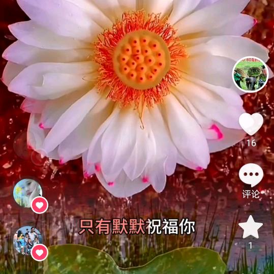 表哥