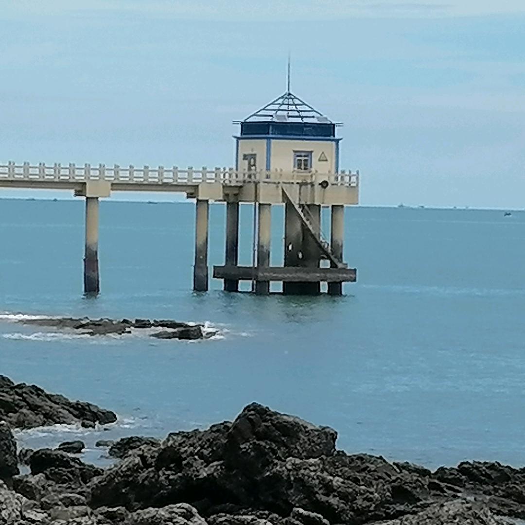 花开富贵/德萨罗人鱼