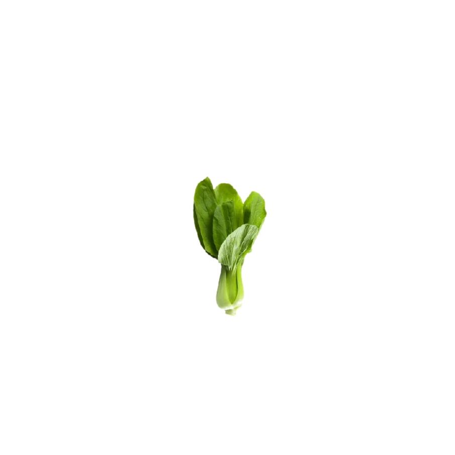 l.x