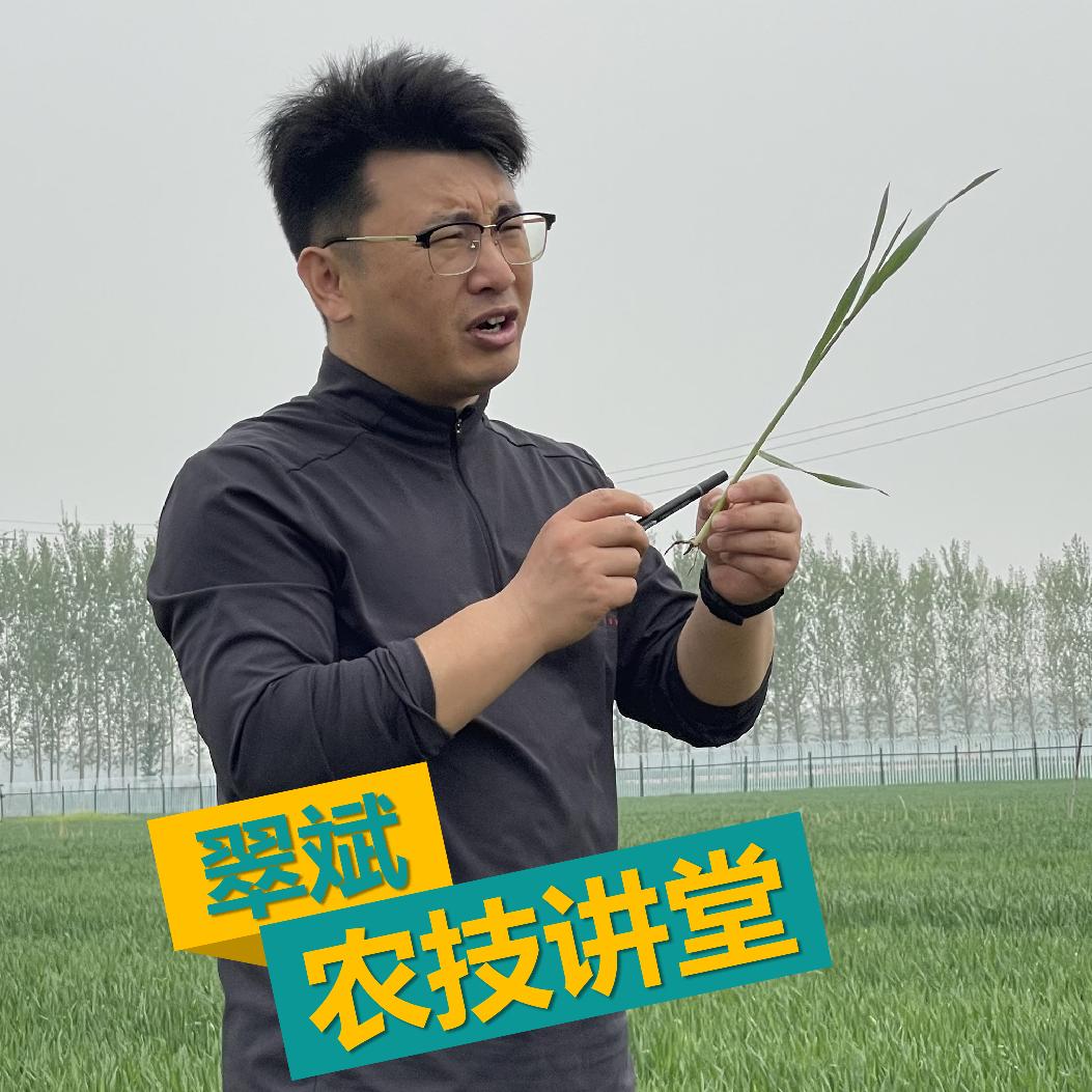 根力多小斌老师