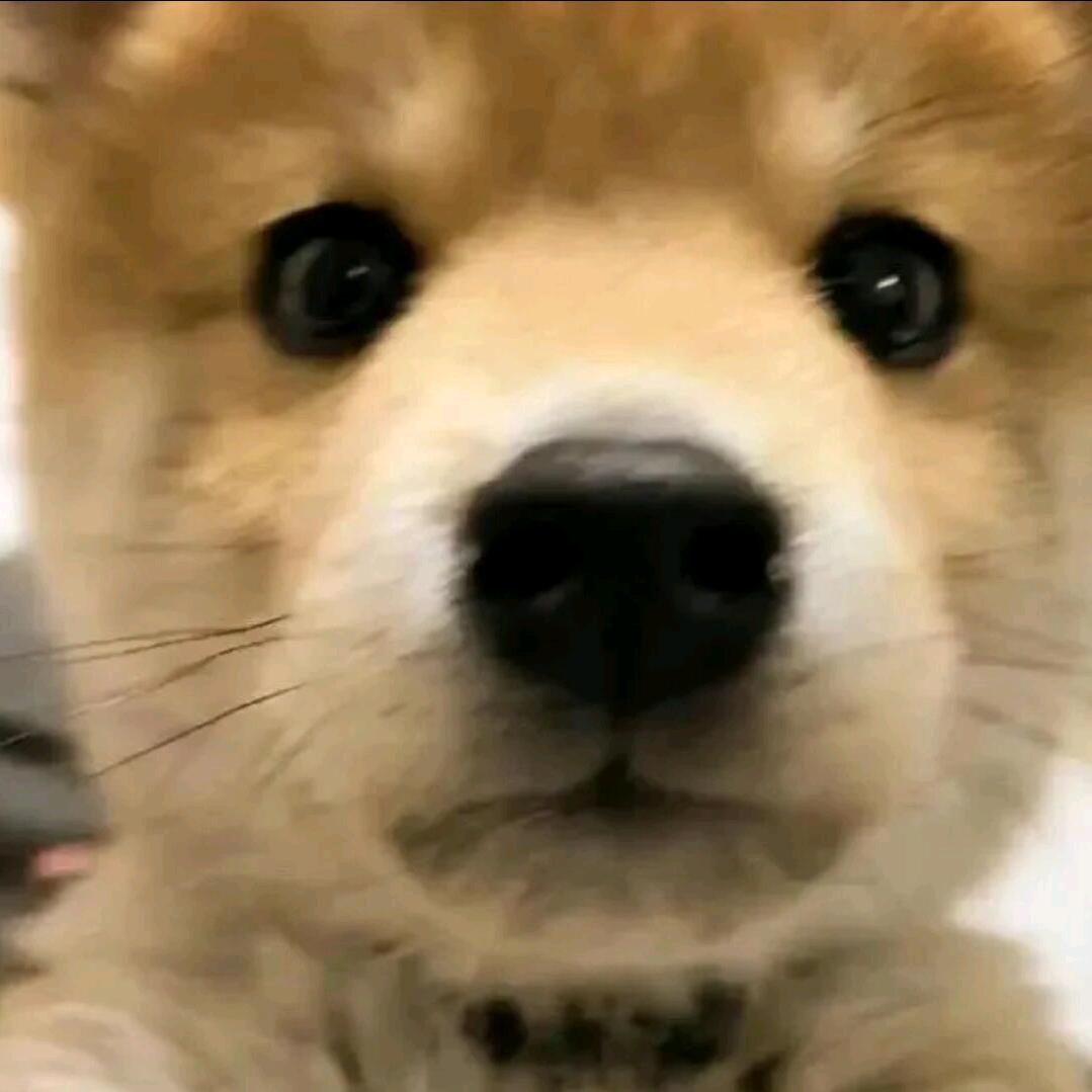 土鸡