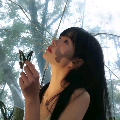 小小郁金香🌷