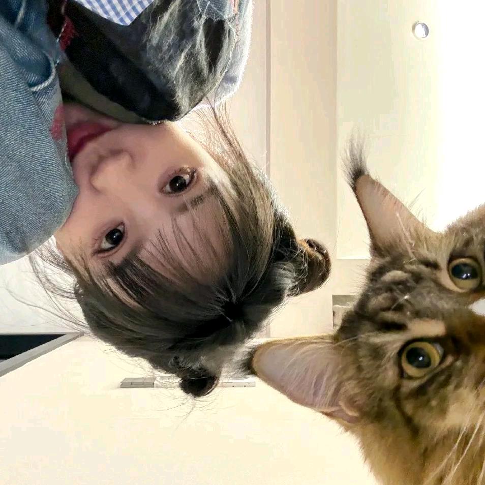不吃晚饭🥣